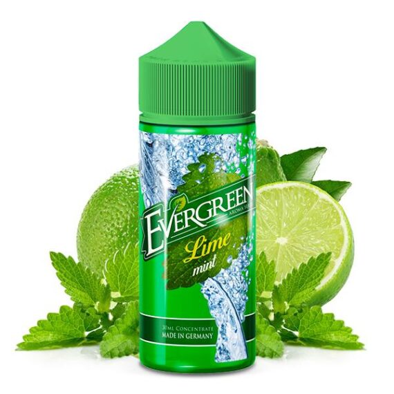 Evergreen Lime Mint