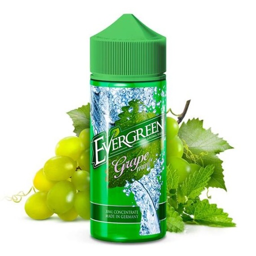 [P0020682] Evergreen Grape Mint